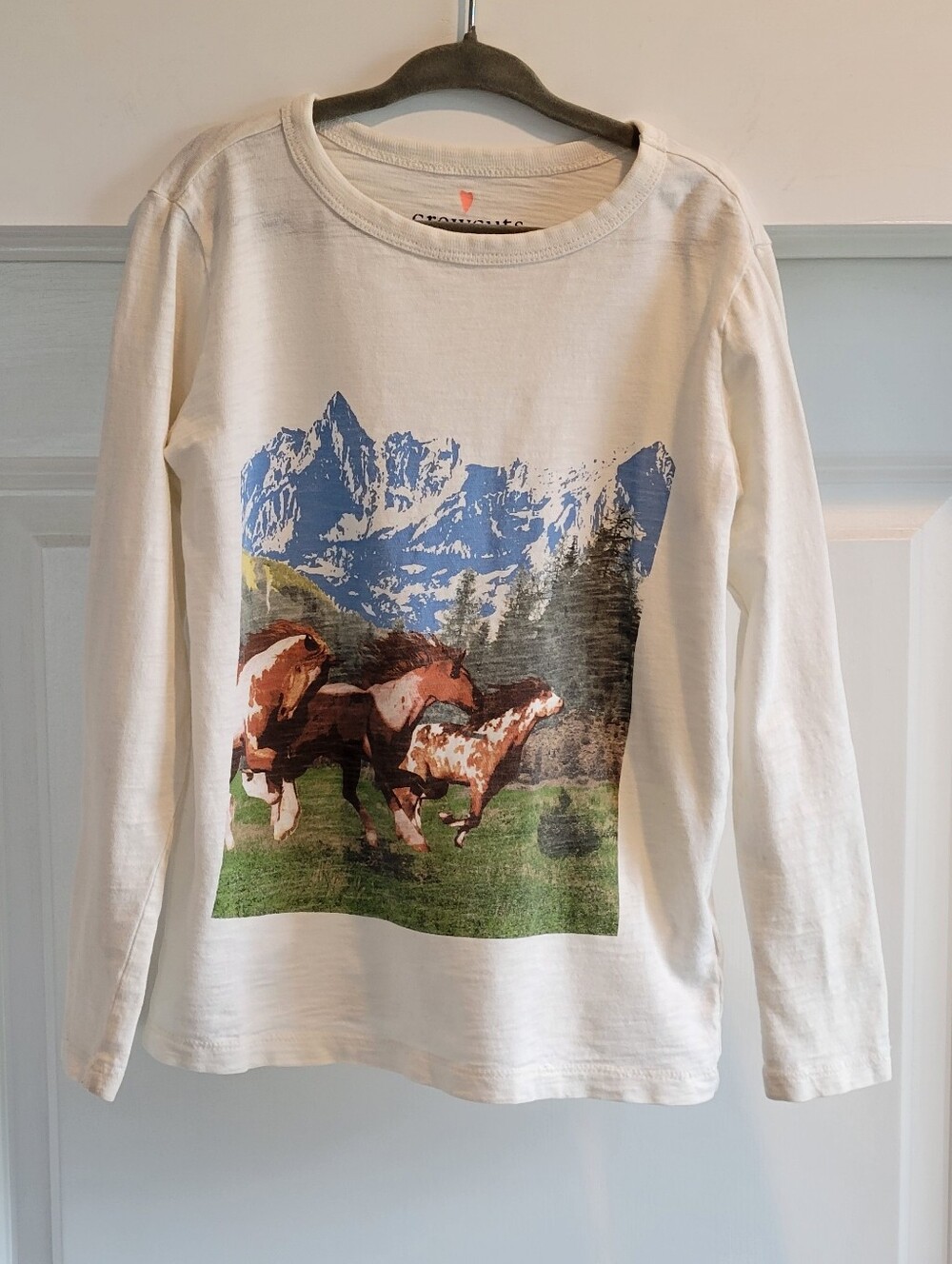 J Crew Crewcuts Kids White Long-Sleeve Tee with Mountain & Horse Graphic